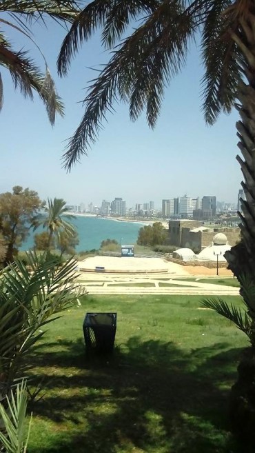 11817086_780005728779327_5938964857648833863_n