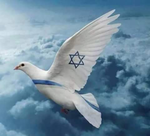 1923659_1089385354414293_8779046912840278765_n